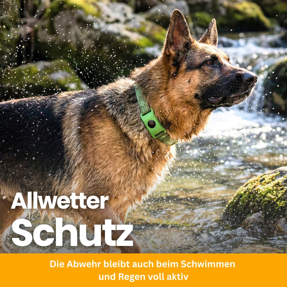 TickGuard Clip – Against Ticks and Fleas