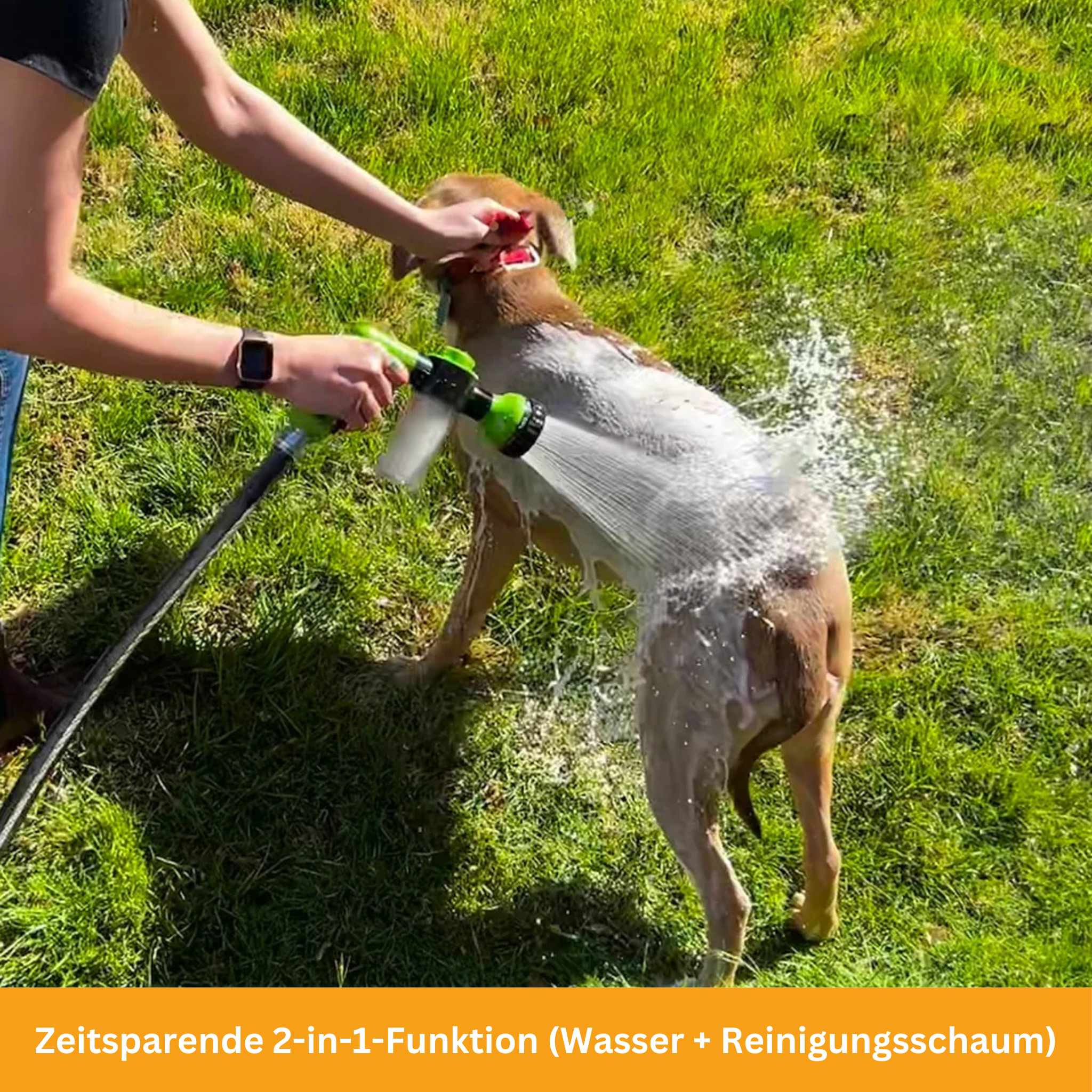 PetFoam Pro – Der Schaumreiniger für Haustiere