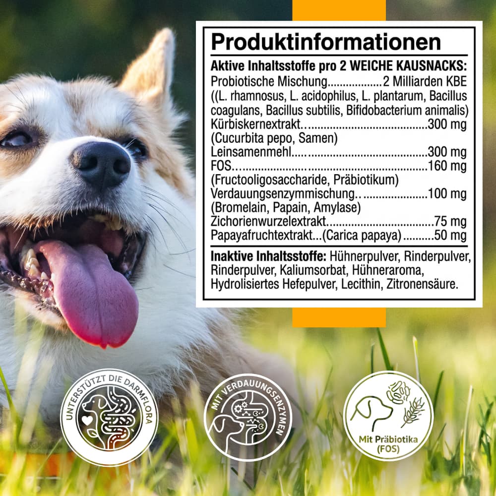 Probiotic Soft Chews for Dogs – Gut & Digestive Health
