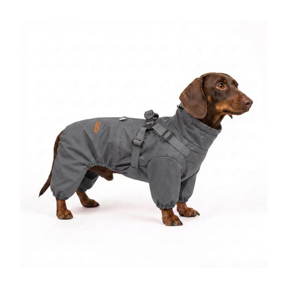 RainPaw – Waterproof Raincoat for Dogs