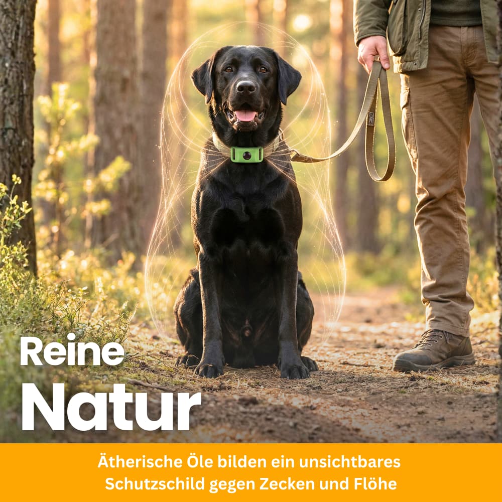 TickGuard Clip – Against Ticks and Fleas