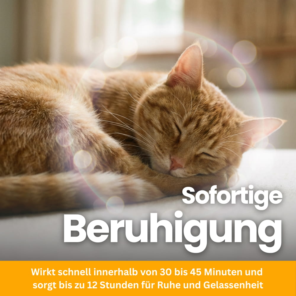 Anti-Stress Chews for Cats