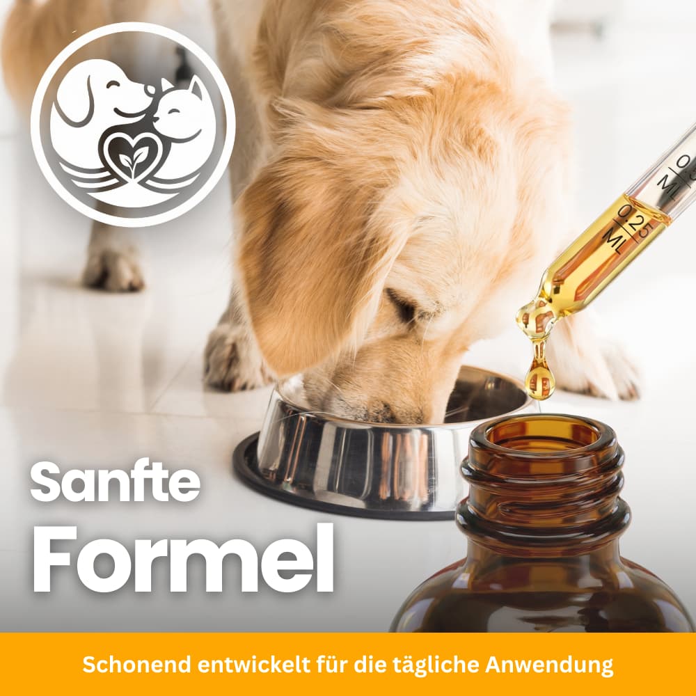 Harnweg-Pflege Tropfen für Hund & Katze