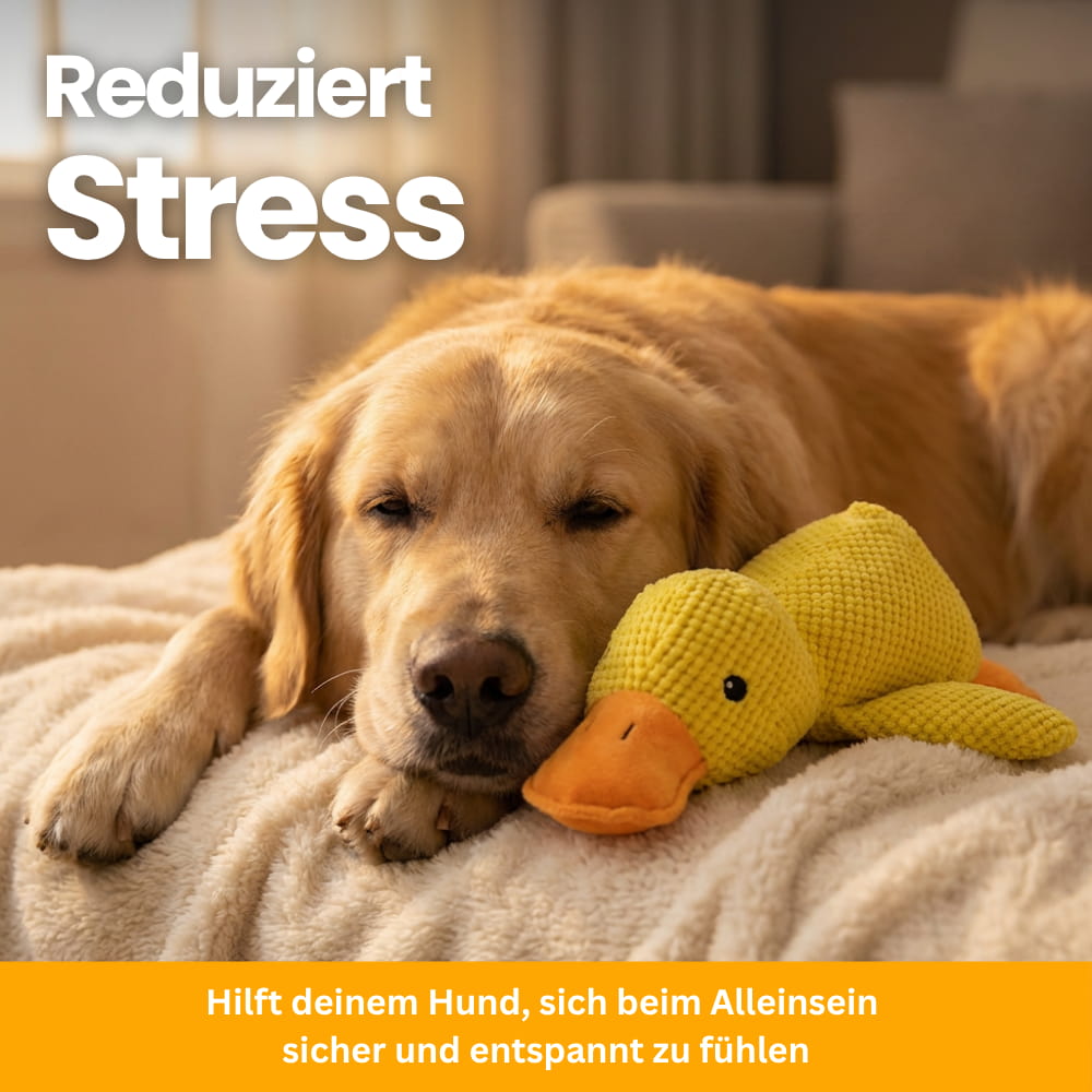 Anti-Stress Duck for Dogs