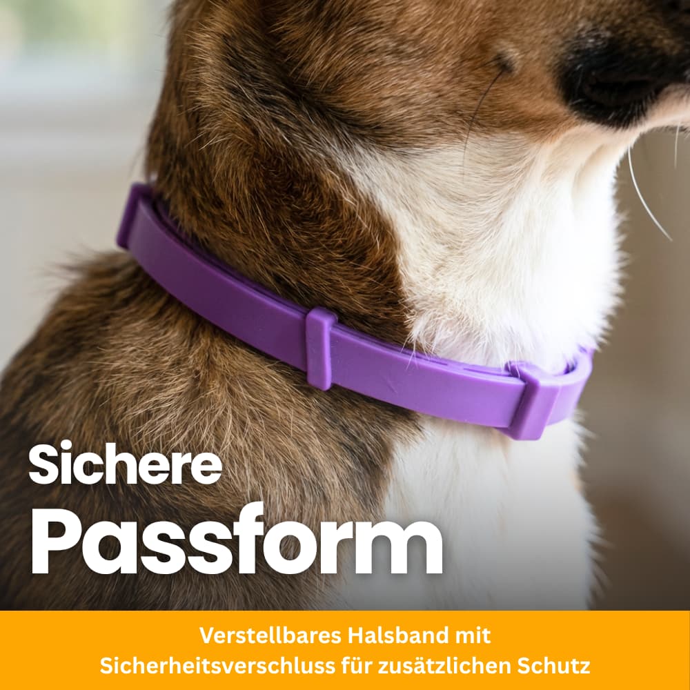 Pet-Friendly Anti-Stress Collar for Dogs