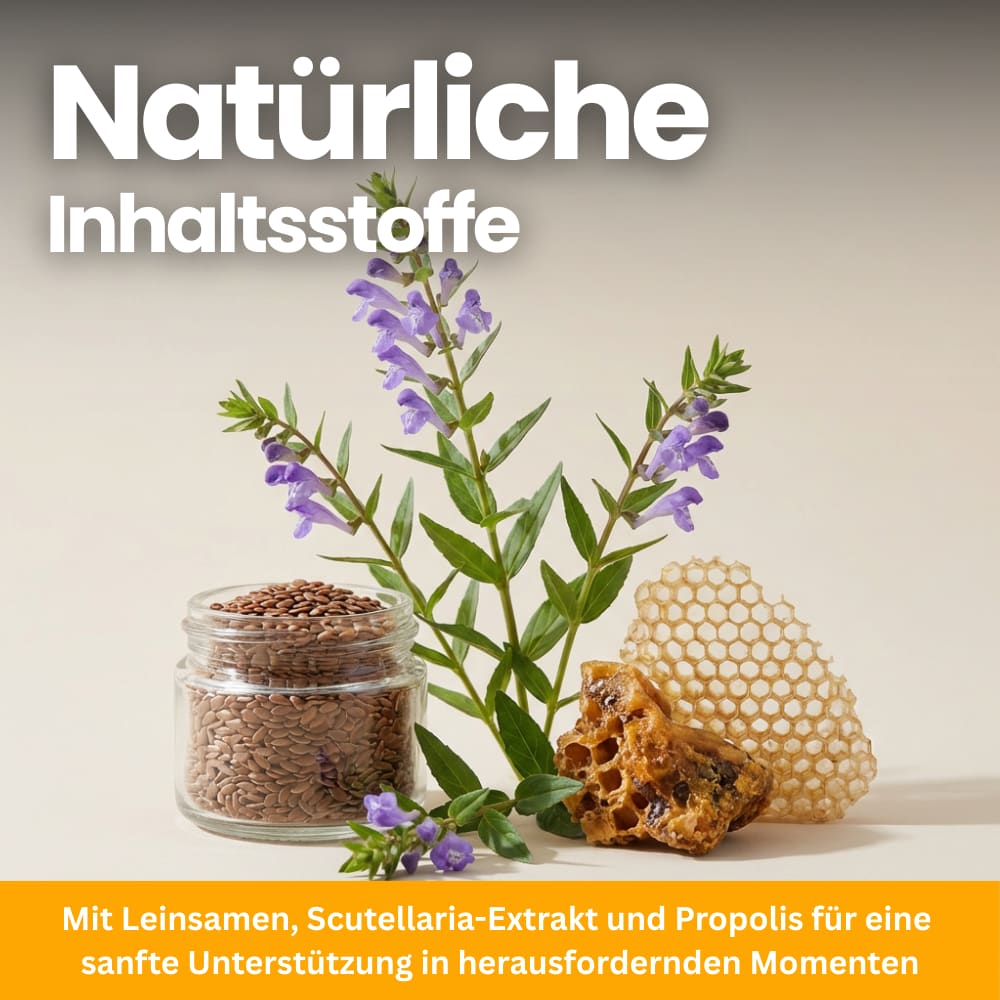 Anti-Stress Chews for Cats