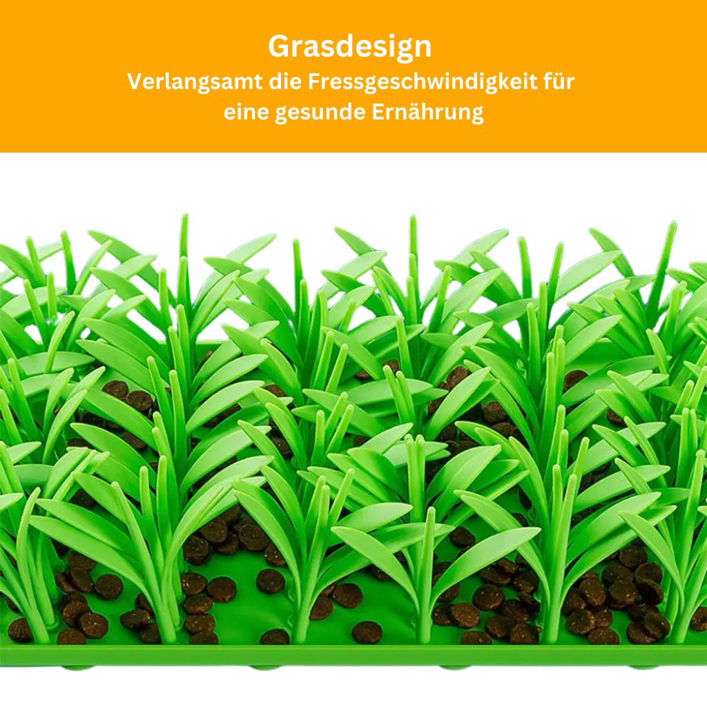 Leckerli-Wiese für Hunde