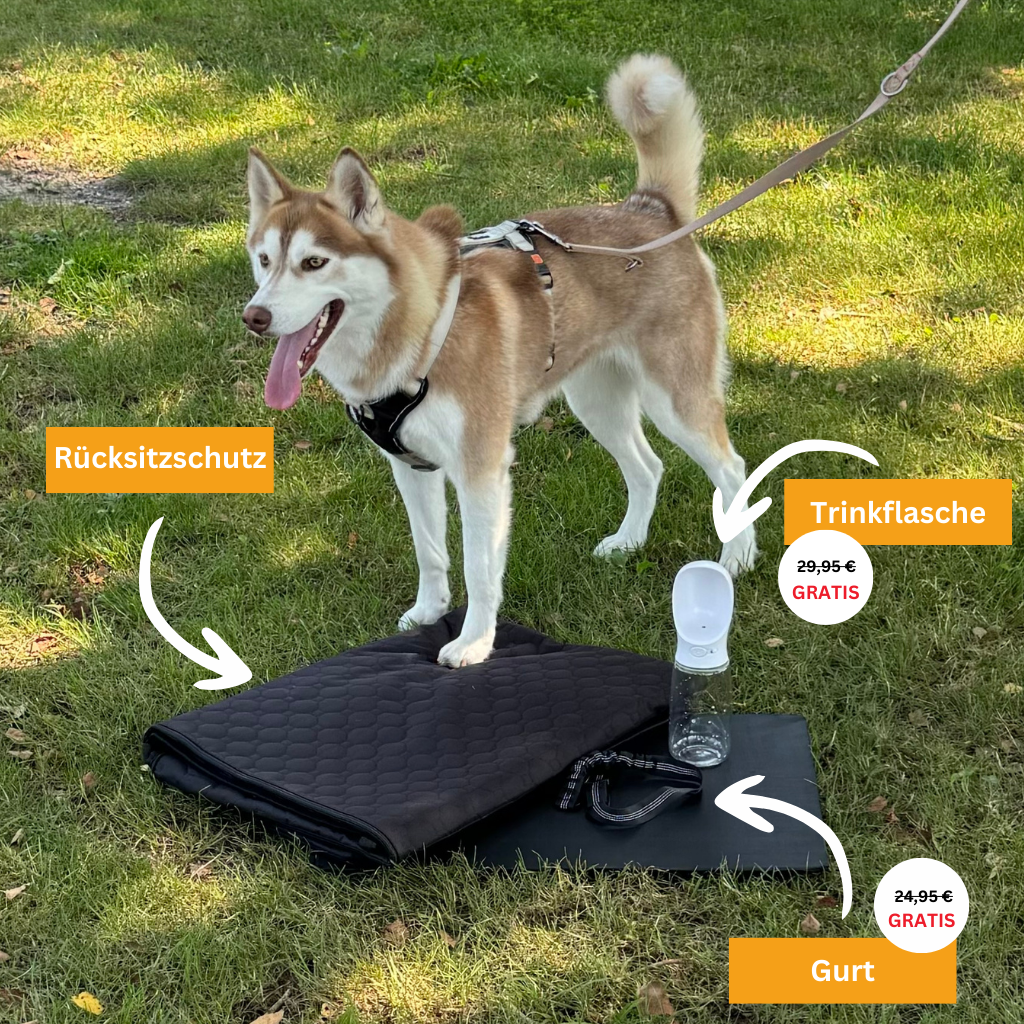 Stabiler Rücksitzschutz - Bundle