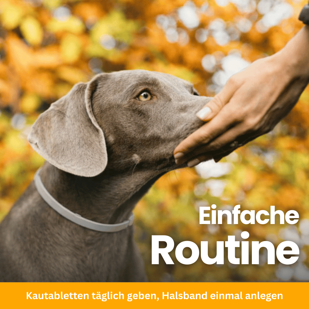 FellFreund Floh- & Zeckenschutz Duo