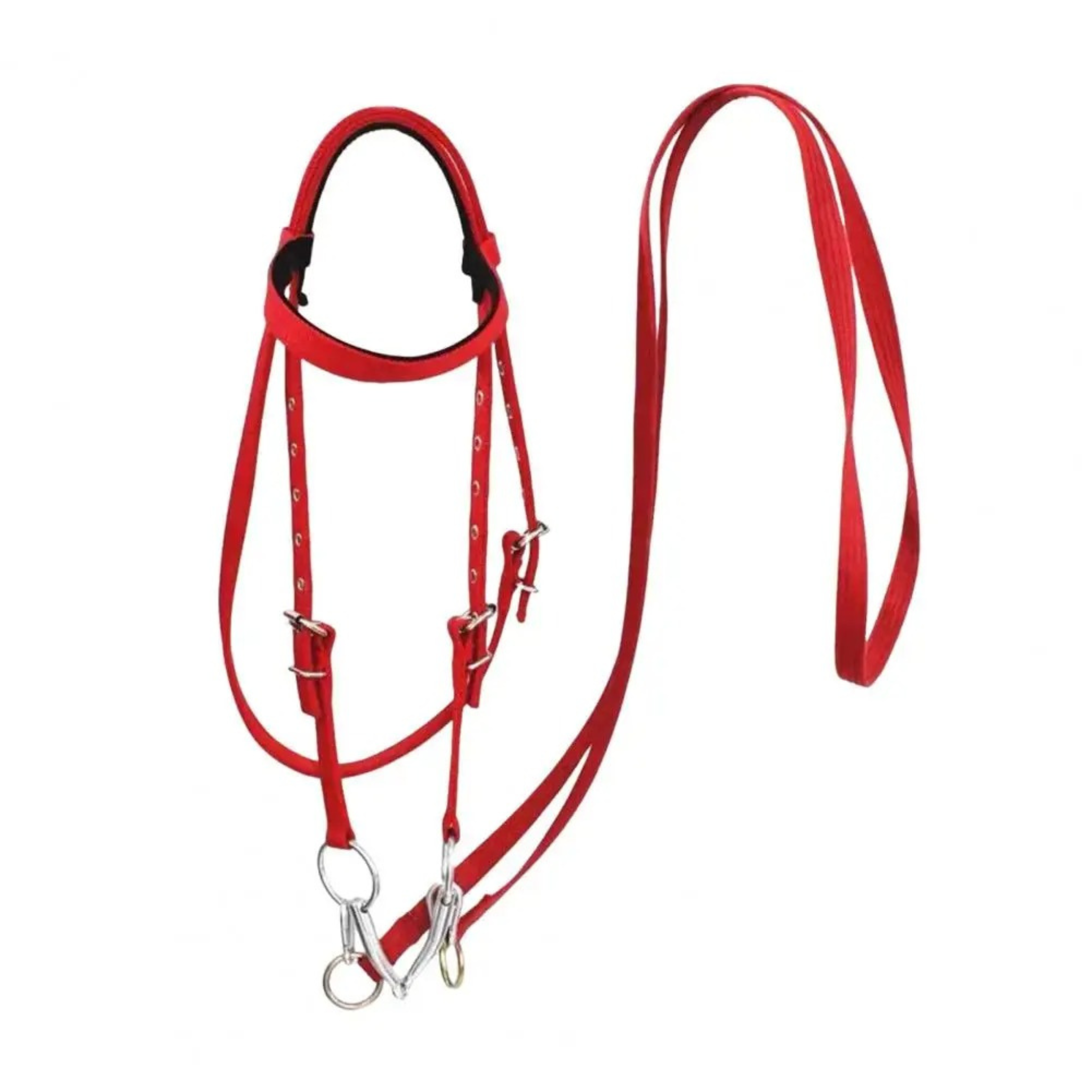 SoftLead - Gepolstertes Komforthalfter für Pferde