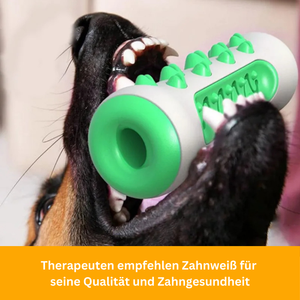 Zahnweiß für Hunde - Unzerstörbarer Begleiter für saubere und gesunde Zähne