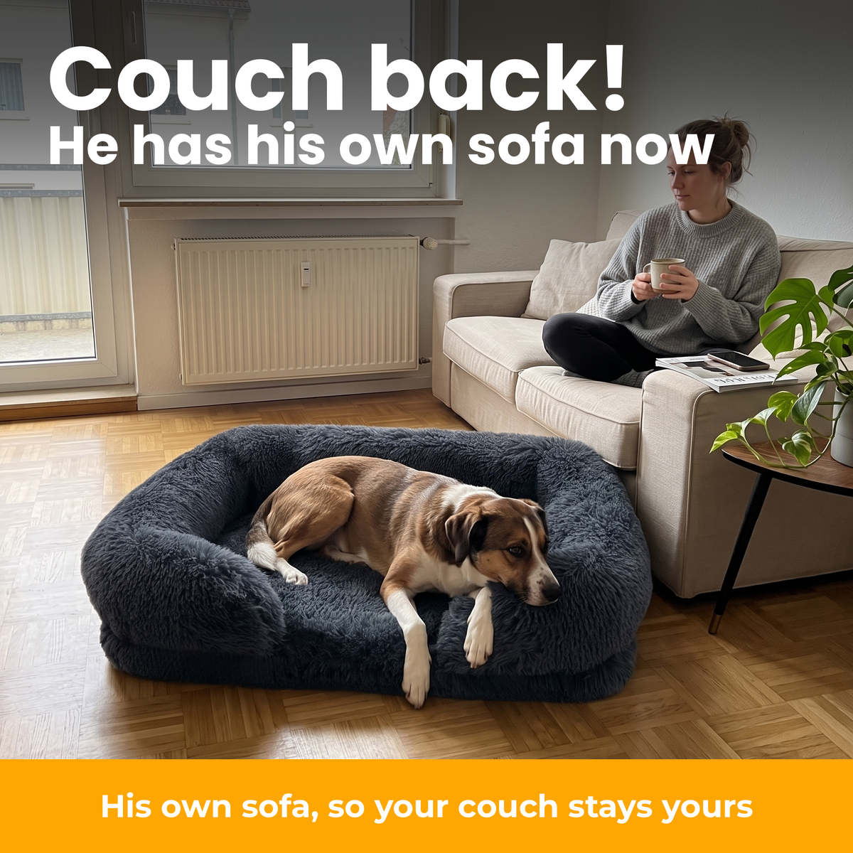 [en] CloudCouch – Dog lying in the CloudCouch sofa-style bed in front of the couch