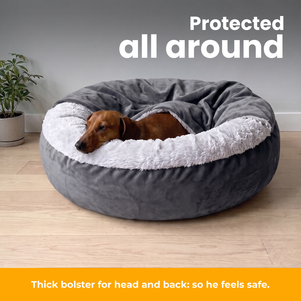 [en] CuddleCave – Dachshund resting its chin on the padded rim