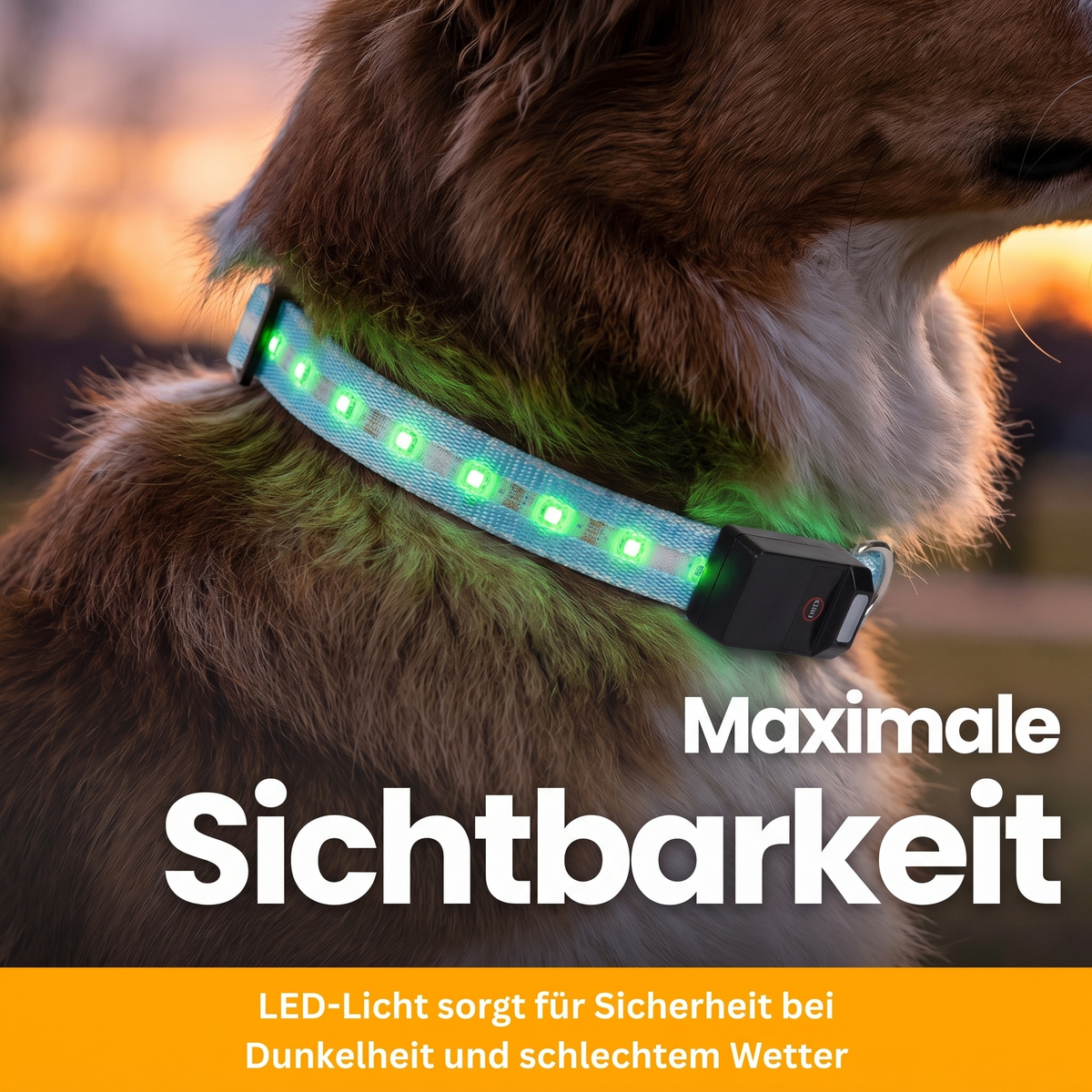 [de] LED-Leuchthalsband Pro – Maximale Sichtbarkeit