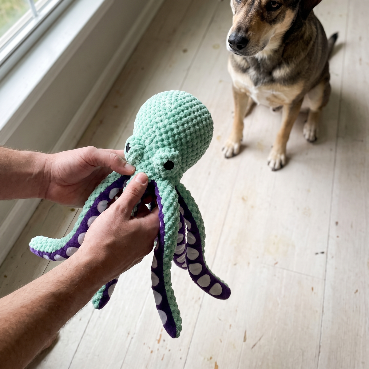 Squiddy Kuscheloktopus – Szenenbild section-2