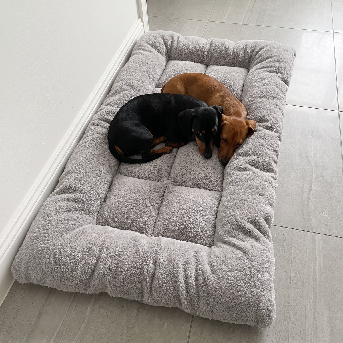 TeddyBed – Two dachshunds lying together in the TeddyBed, size L